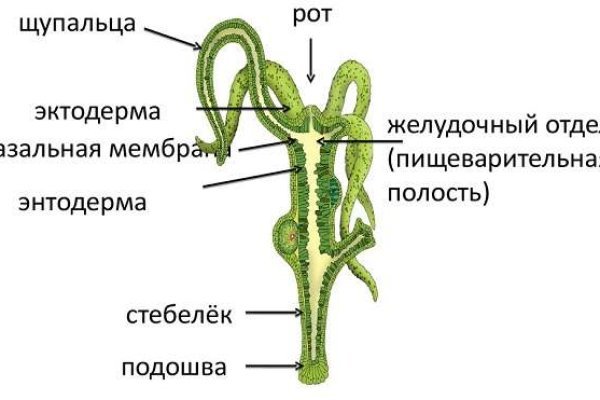 Блэк спрут и другие площадки