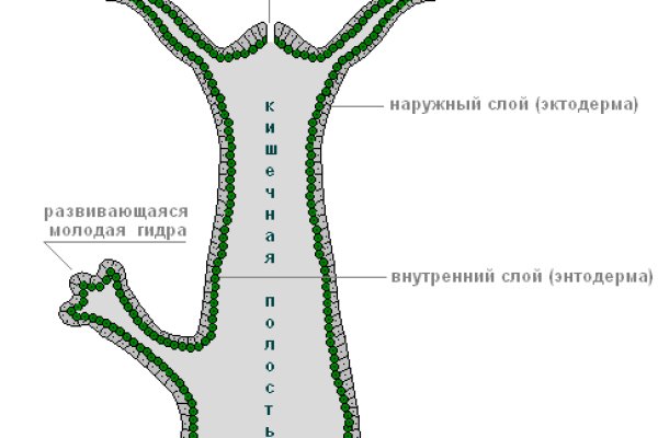 Блэк спрут ссылка bs2web top