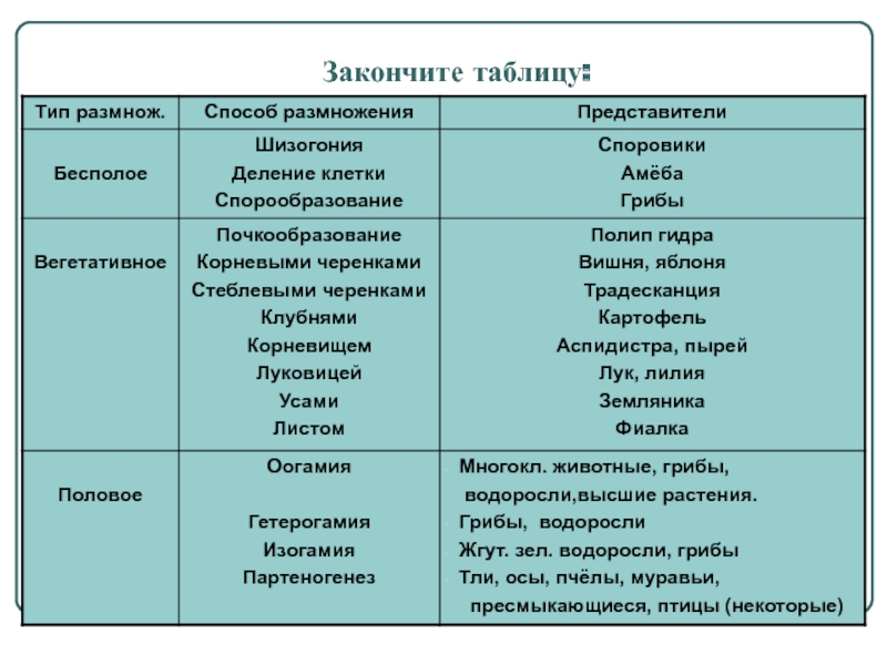 Блекспрут онион blacksprut pl blacksprut2web in