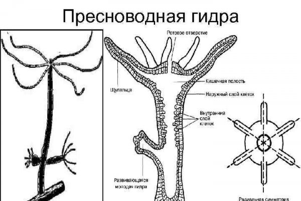 Blacksprụt com официальное зеркало