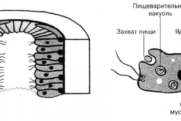 Рабочая blacksprut